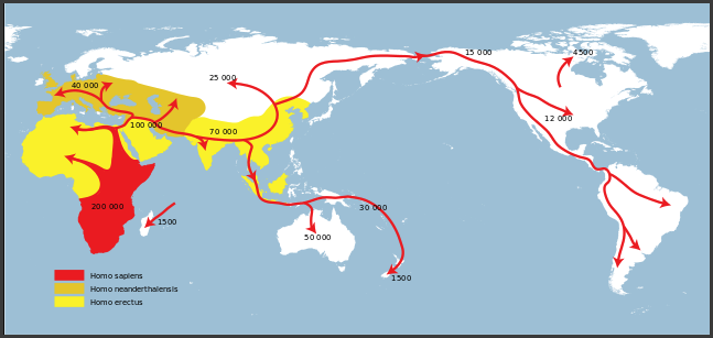 human-migration-evolution