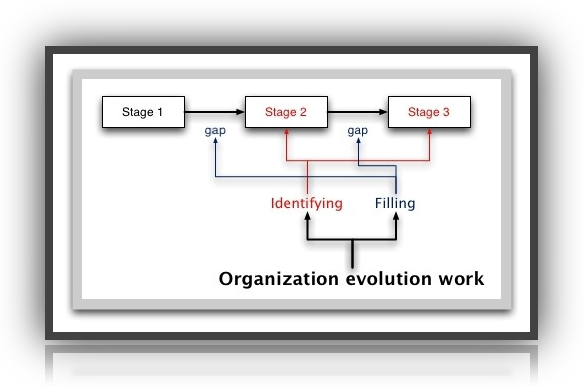 organization evolution work